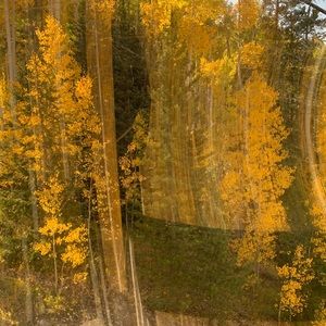 Meet your Posher, Chelsea